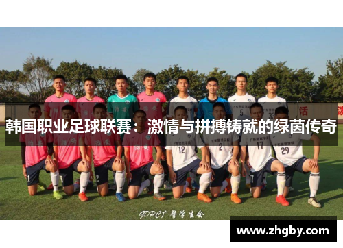 韩国职业足球联赛：激情与拼搏铸就的绿茵传奇