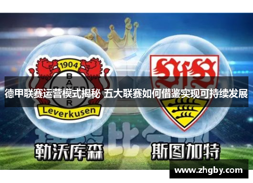 德甲联赛运营模式揭秘 五大联赛如何借鉴实现可持续发展